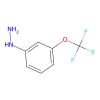 [3-(trifluoromethoxy)phenyl]hydrazine