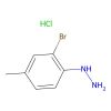 (2-Bbromo-4-methylphenyl)hydrazine hydrochloride - ≥95% CAS No(156941-61-6) by Aladdin Scientific