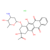 Idarubicin HCl, DNA topoisomerase II alpha inhibitor