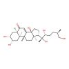 Inokosterone