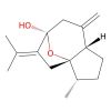 Isocurcumenol