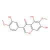 Iristectorigenin B