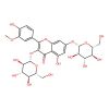 Isorhamnetin 3,7-O-diglucoside