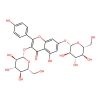 Kaempferol 3,7-diglucoside
