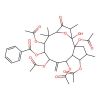 Kansuinine A
