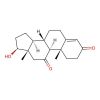 11-keto Testosterone