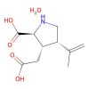 (−)-(α)-Kainic Acid hydrate