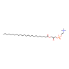1-lignoceroyl-2-hydroxy-sn-glycero-3-phosphocholine - ≥99% CAS No(325171-59-3) by Aladdin Scientific