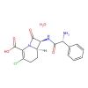 Loracarbef monohydrate