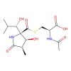 Lactacystin