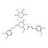 Leucosceptoside A