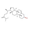 24-Methylenecholesterol