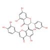 Morelloflavone