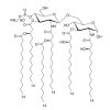 Monophosphoryl Lipid A (Synthetic)(MPLA)