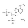 MRS 2179 - Moligand™, ≥98% CAS No(101204-49-3) by Aladdin Scientific