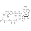 Malonyl coenzyme A tetralithium salt - ≥90% CAS No(116928-84-8) by Aladdin Scientific
