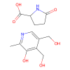 Metadoxine