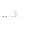 1-myristoyl-2-stearoyl-sn-glycero-3-phosphocholine