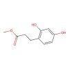 Methyl 3-(2，4-dihydroxyphenyl)propionate