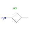 3-Methylcyclobutanamine hydrochloride