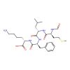 N-formylmethionyl-leucyl-phenylalanyl-lysine