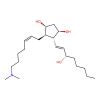N-Dimethylaminoprostaglandin F2alpha
