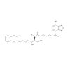 C6 NBD Ceramide