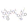 Neuromedin B