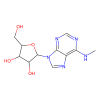 N6-Methyladenosine