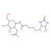 N-GlcNAc-Biotin