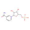 β-Nicotinamide Mononucleotide (NMN)