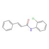 N-(2-Chlorophenyl)cinnamamide