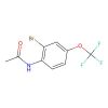 N-(2-Bromo-4-(trifluoromethoxy)phenyl)acetamide