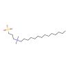 3-(N,N-Dimethylmyristylammonio)propanesulfonate - BioReagent, ≥99%(TLC) CAS No(14933-09-6) by Aladdin Scientific