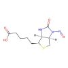 Nitrosobiotin