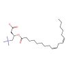 O-linoleyl-L-carnitine