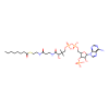 Octanoyl coenzyme A