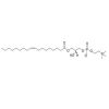 1-oleoyl-2-hydroxy-sn-glycero-3-phosphocholine