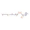 Pimeloyl-coa