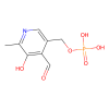 Pyridoxal 5′-phosphate hydrate