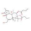 Phorbol 12,13-dibutyrate