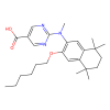 PA 452, Antagonist of Retinoid X receptor-α