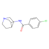 PNU 282987, Agonist of nicotinic acetylcholine receptor α7 subunit