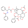 Paclitaxel-d5