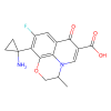 Pazufloxacin, DNA topoisomerase II inhibitor