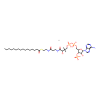 Palmitoyl coenzyme A lithium salt
