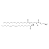 1-Palmitoyl-2-linoleoyl PE