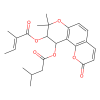 Praeruptorin E