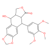 Picropodophyllotoxin, Insulin-like growth factor I receptor inhibitor