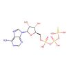 Phosphothiophosphoric acid-adenylate ester